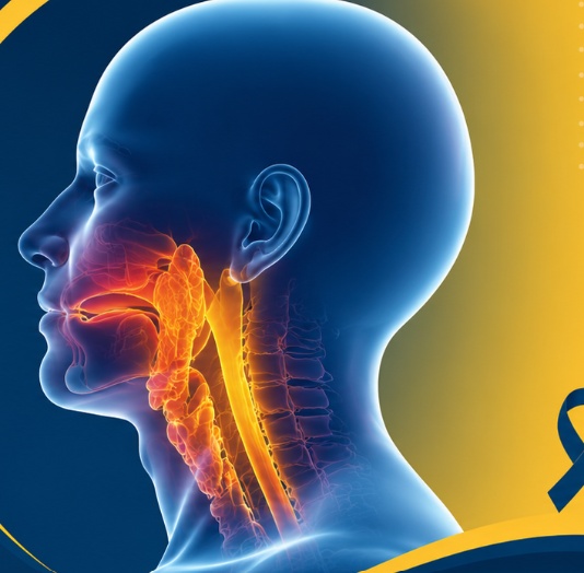 Head & Neck Cancer Surgeon in Delhi: What You Need to Know Before You See One