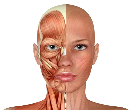 Reconstruction After Cancer Surgery